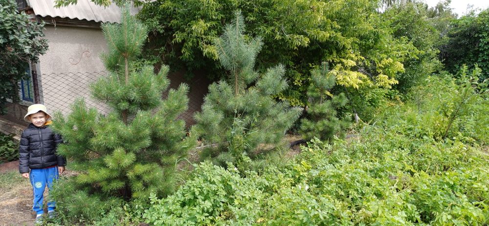 Продам участок 6 соток