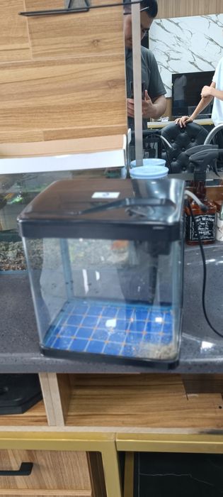 Akvarium toshkent
