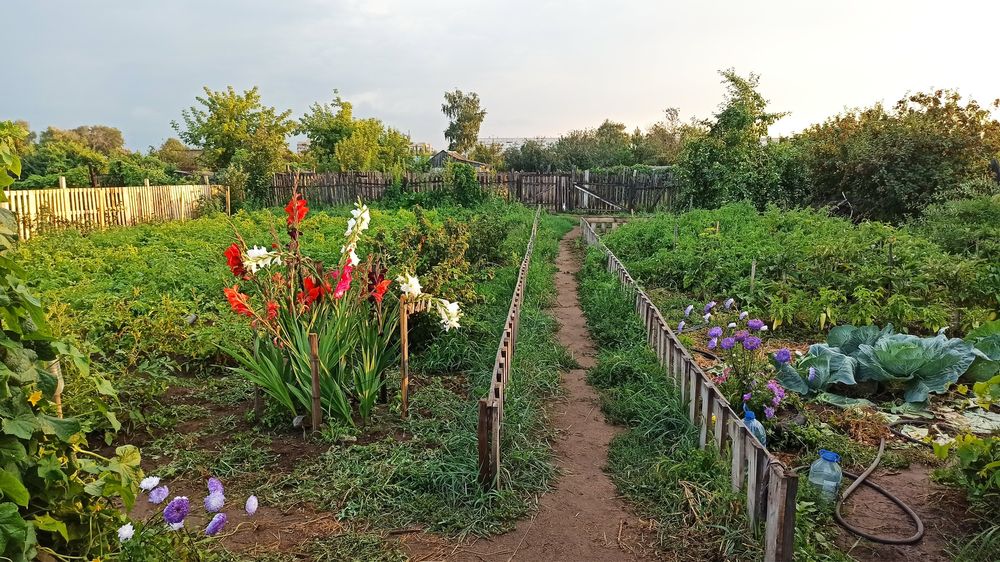 Продам дачу 12 соток