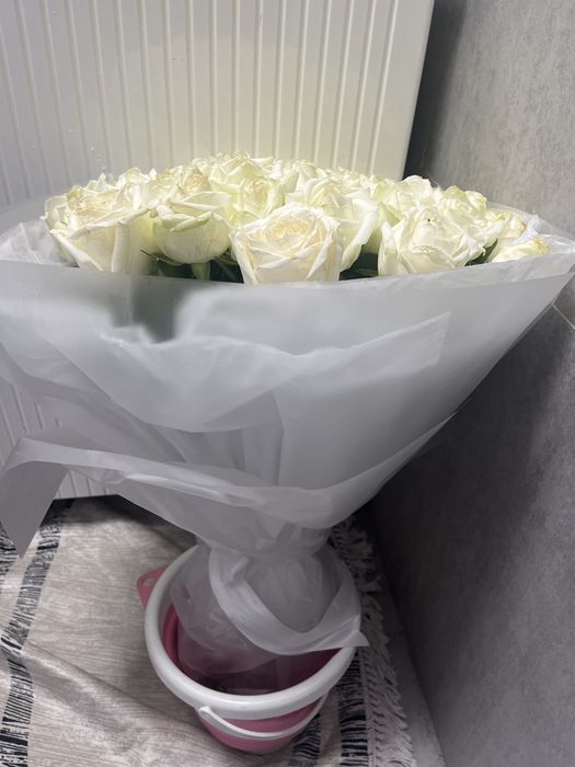 Продам розы 51 шт