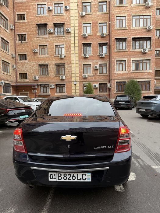 Cobalt full dark mon blue 2023 toza