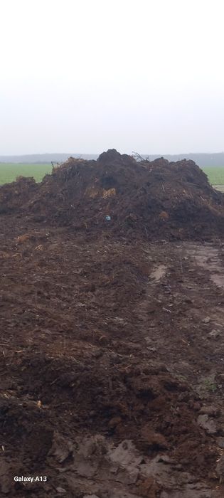 gunoi de VACI putred și proaspăt