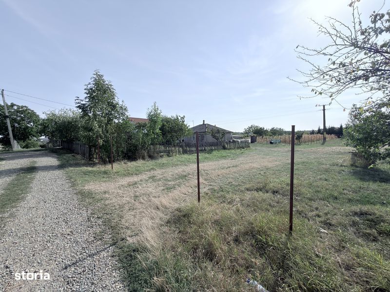 1280mp teren intravilan la Cucorani