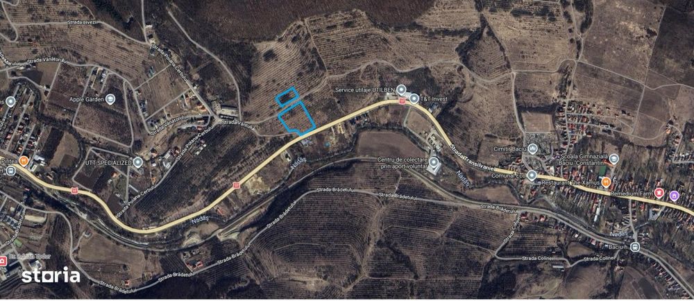 Teren intravilan 11.600mp iesire Baciu DN 1F / E81