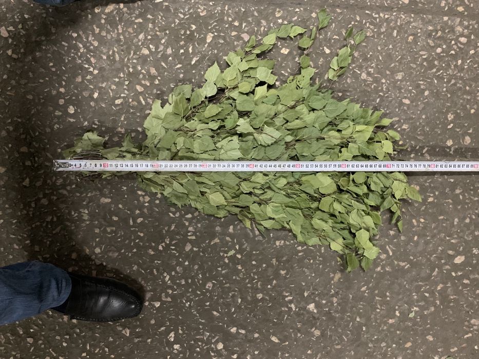 Веник Берёзовый банный