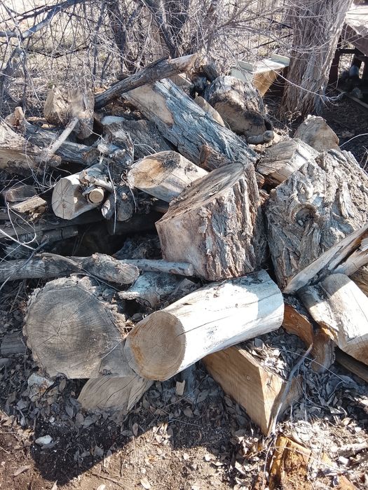 Отдам даром дрова