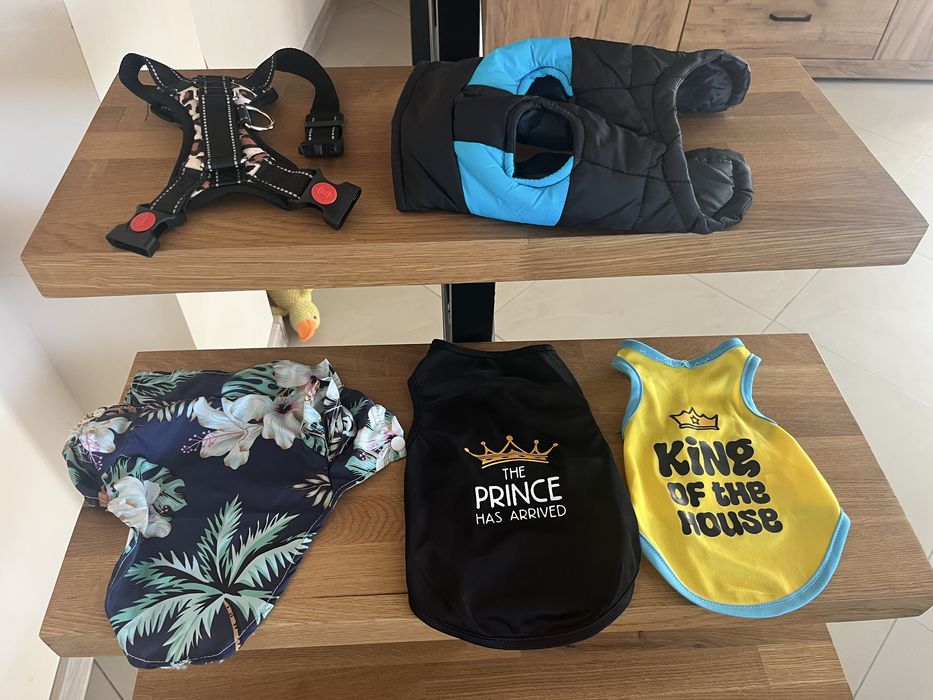 Голям лот за куче -нови легло, дрехи, обувки…