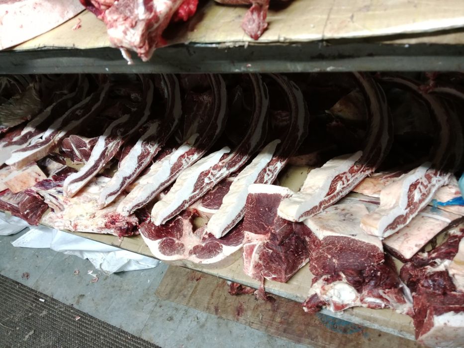 Продам согым тай байтал