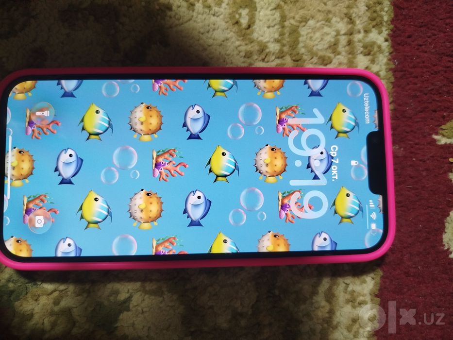 Iphome 13 pro max