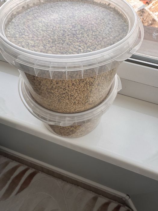 Продам пыльцу пчелиную!