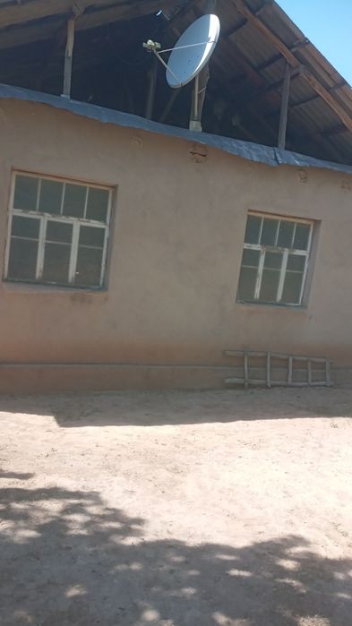 Прадаю дом с садом сад болшой