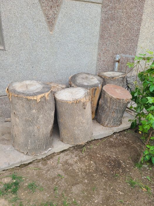 Gosh tonka sotiladi 400 ming