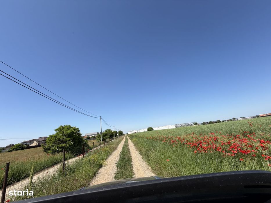 Teren | Balotești, Ilfov | Deschidere generoasă | Intravilan.