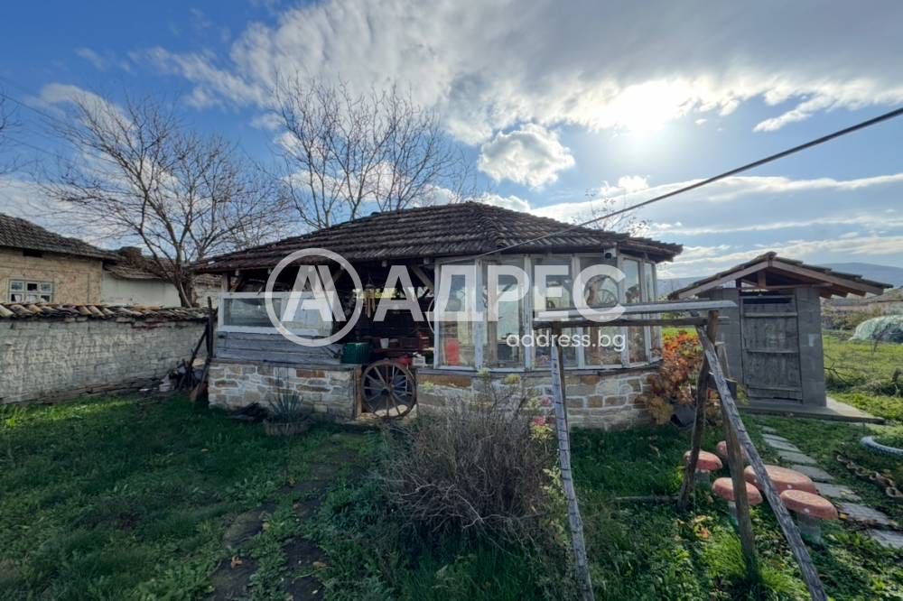 Еднофамилна къща, с. Дриново