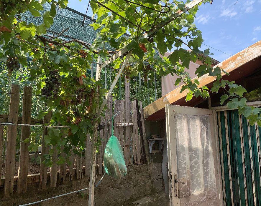 Продава се Къща в Тутракан - 120 кв.м за 250 €/кв.м - Снимка #3