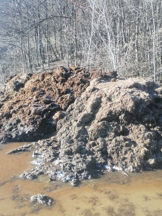 Оборска  тор от крави