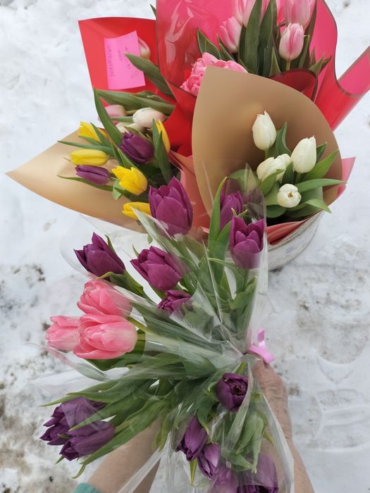 Тюльпаны с оформлением