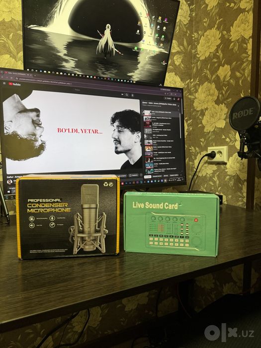 Professional Condenser Microphone