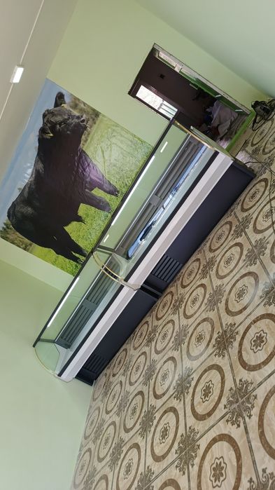 Xolodilnik Vitrina zakasga tayyorlab beramiz