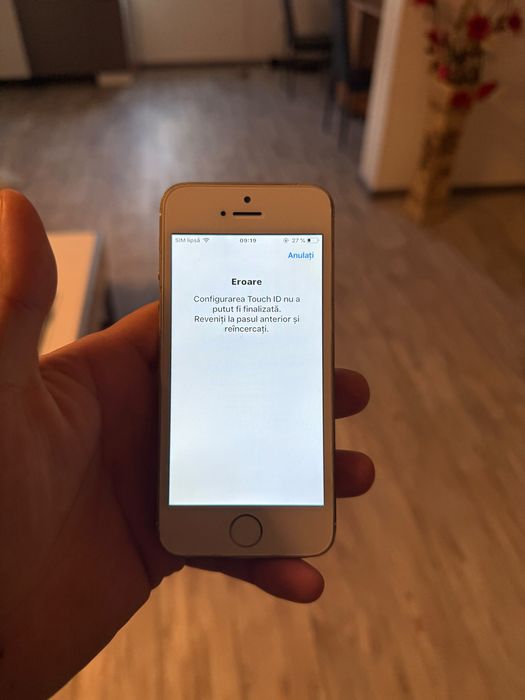 iPhone 5s Gold Functional