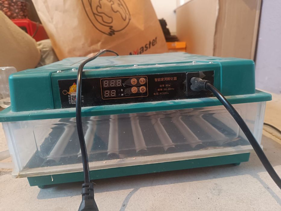 Инкубатор на 24 яйца