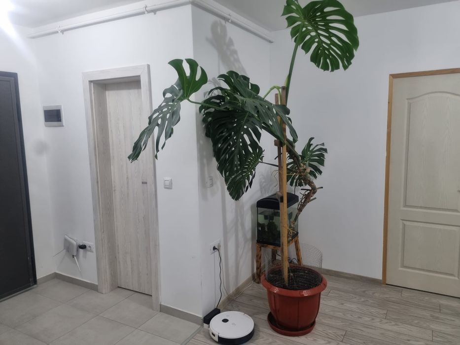 Apartament de vanzare