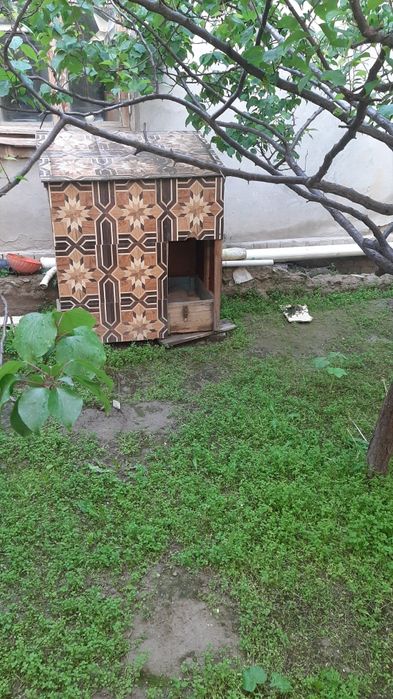 Будка для крупногабаритной собаки