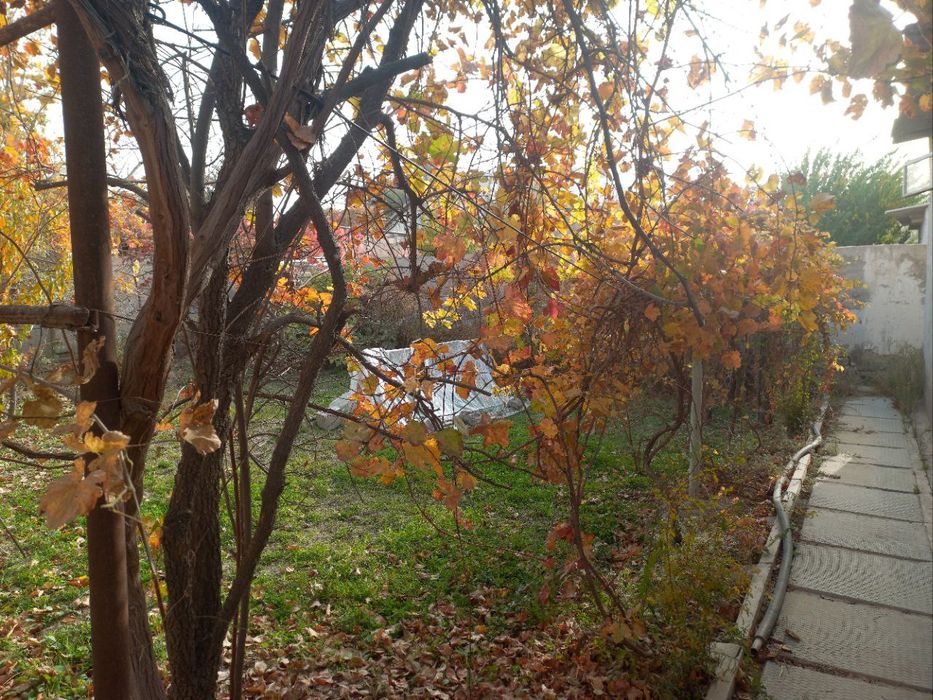 Продаётся дача на спутнике.