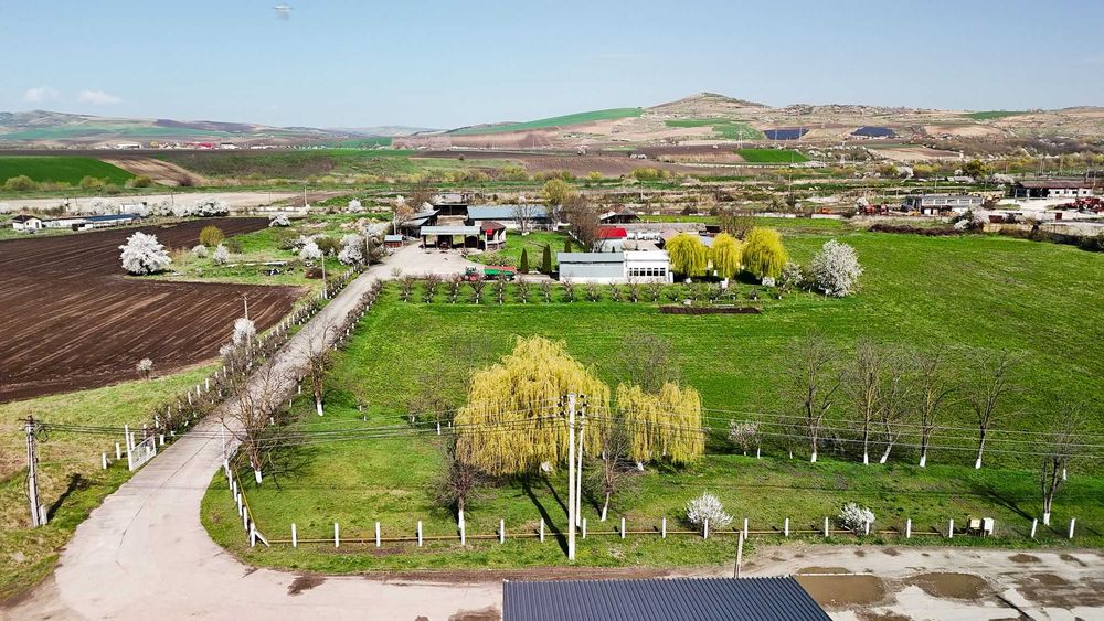 SE VINDE SAU SE INCHIRIAZA teren cu constructii Ludus