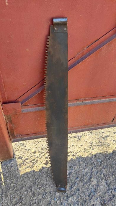 Пила дружба новая