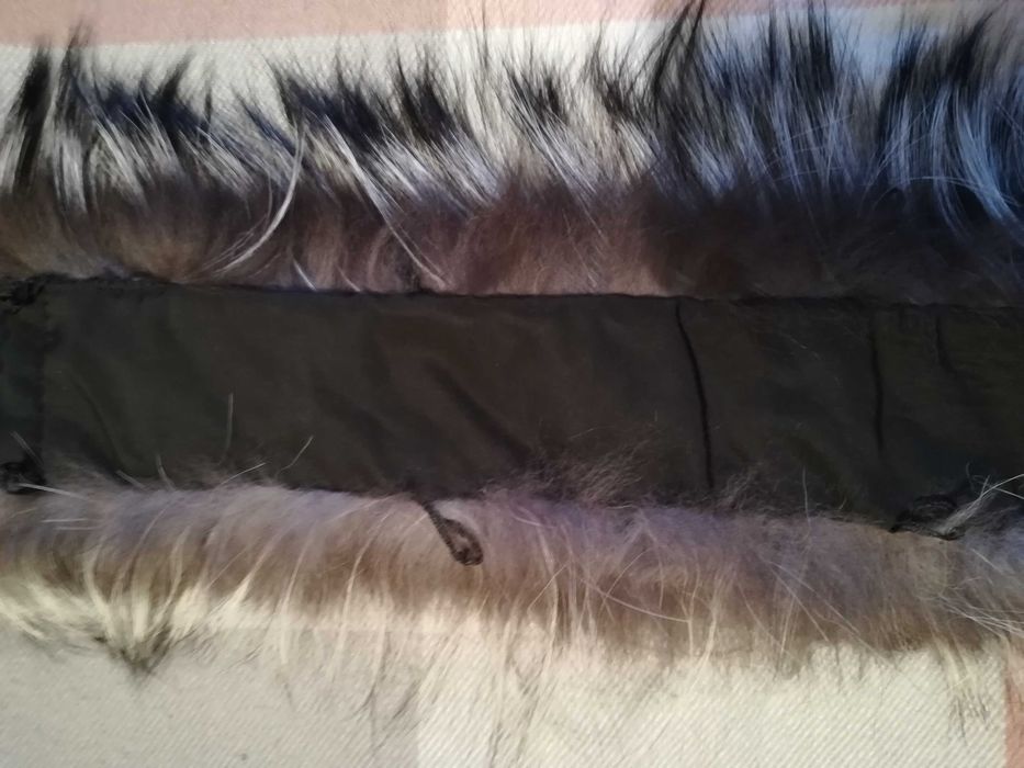 Лиса чёрно-бурка