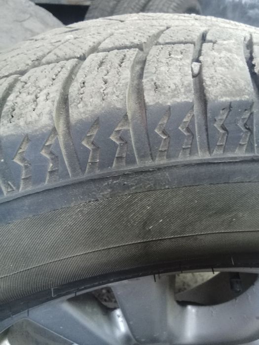 Зимный ризина камплект