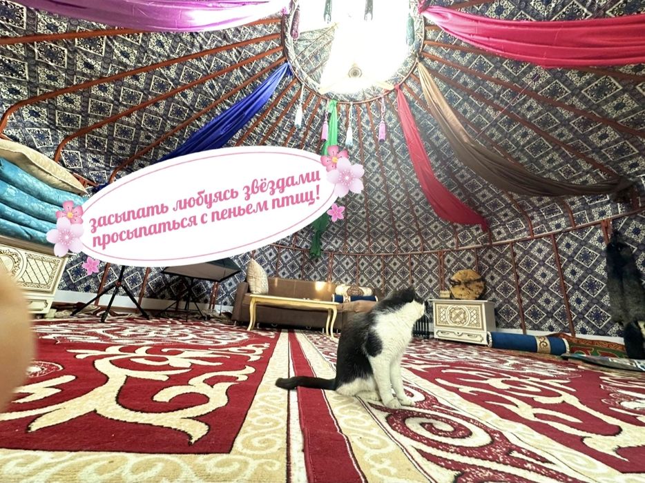 Дача для отдыха на Капчагае посуточно