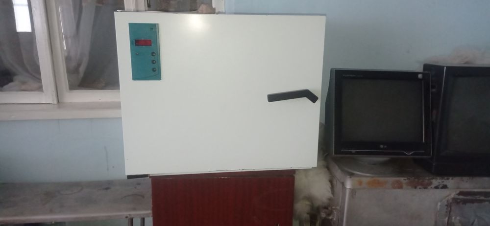 Шкаф сушильний ШС-80-01 СПУ