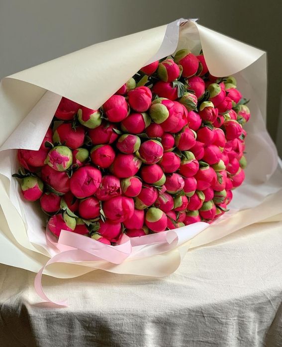 Пионы оптом и в розницу