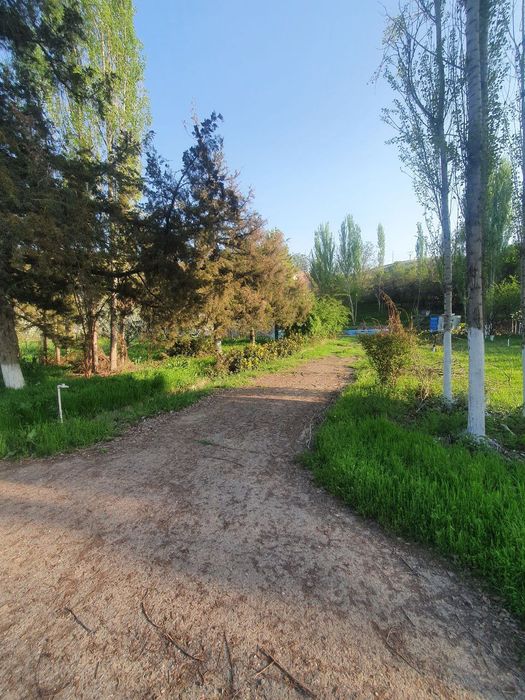 Нотурар бино иншоатлари