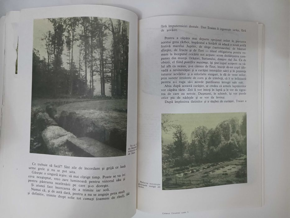 Al Mitru Cantecul Columnei