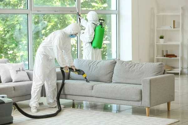 Дезинфекция | Дизенфекция | Дизинфекция клопов тараканов от блох змей