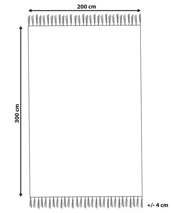 NOU Covor SAZOO, bej, 2/3m