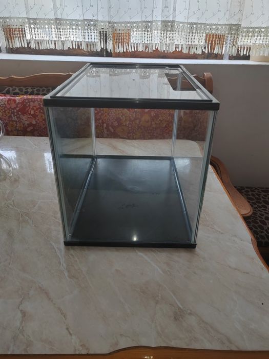 Терариум с ультрафиолетовой лампой. Terarium ultrafiolet cheroq blan