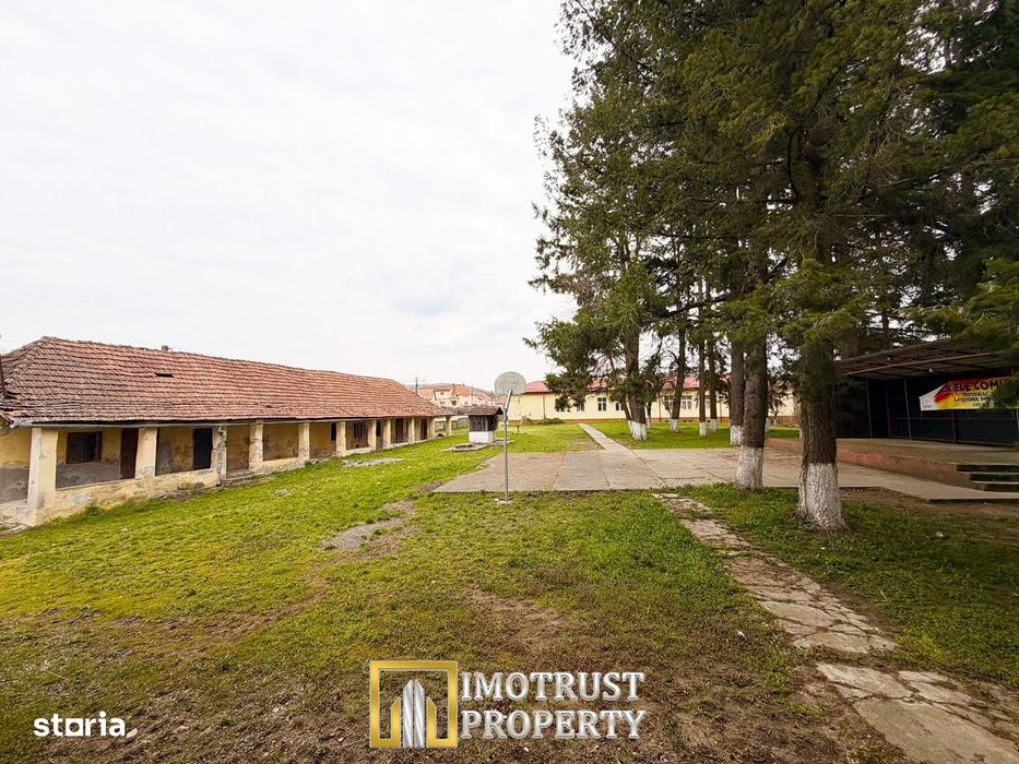 Castel istoric de vânzare în Conop | proprietatea lui Cicio Pop