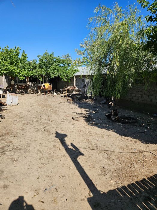 Vand grajd animale depozit anexe gospodaresti
