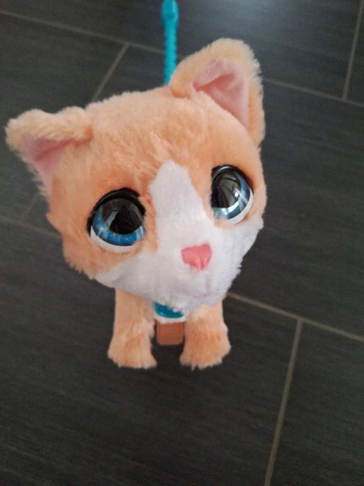 Интерактивно коте