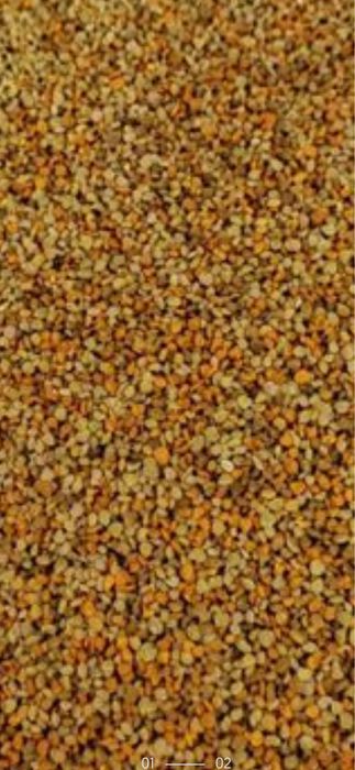 Polen si propolis din zona nepoluata vitamine pt imunitate raceli