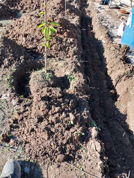 Автоматизирани поливни системи  безплатен оглед.