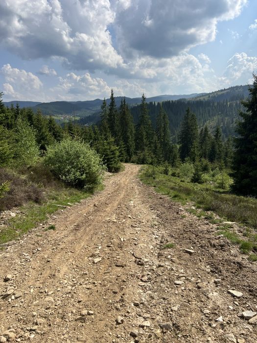 Teren intravilan 5318 mp Poiana Horea-Belis