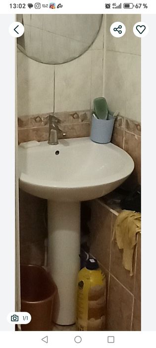 Продам тюльпан в отличном состоянии