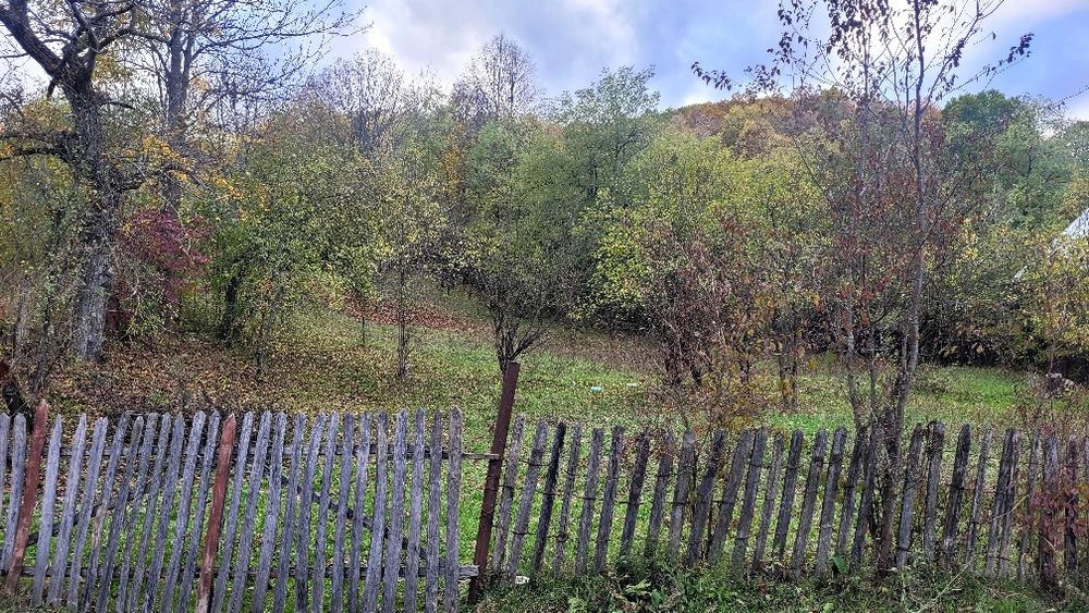 Teren intravilan Provita de jos