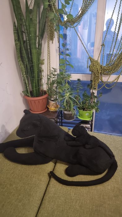 Продаю игрушку мягкую Пантера