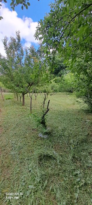 Косене на трева рязане на храсти дървета и т.н